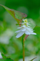 散歩の途中で。6