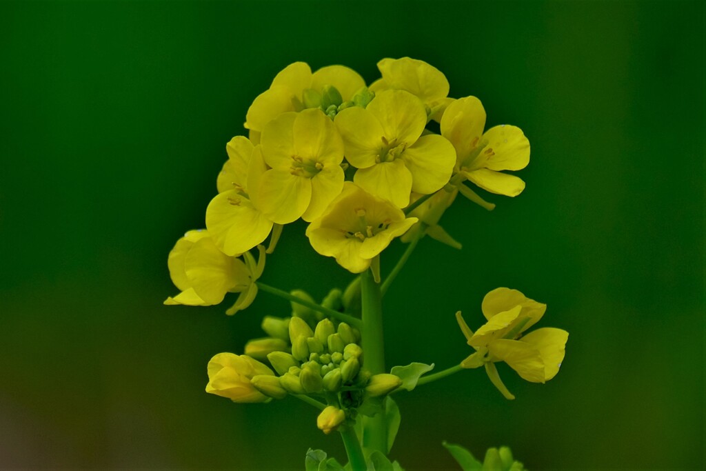 散歩の途中で。9