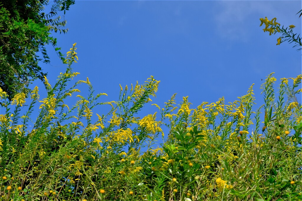 散歩の途中で。１