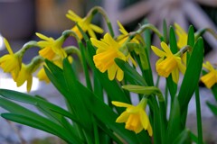 散歩の途中で。①