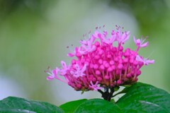 散歩の途中で。