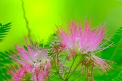 散歩の途中で。