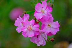 散歩の途中で、③