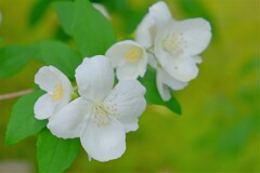 散歩の途中で。（２）