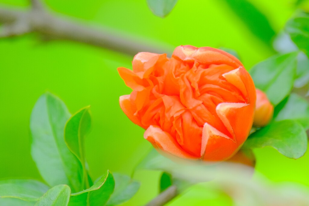 散歩の途中で。