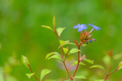 散歩の途中で。