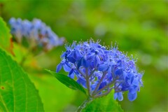 散歩の途中で。9