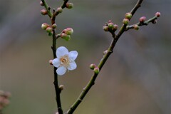 散歩の途中で。４