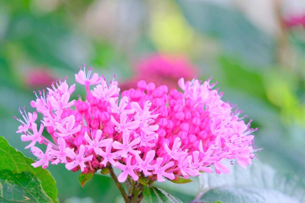 散歩の途中で。８