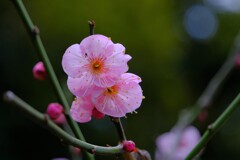 散歩の途中で。Ⅵ