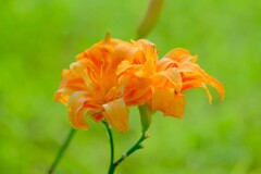 散歩の途中で。