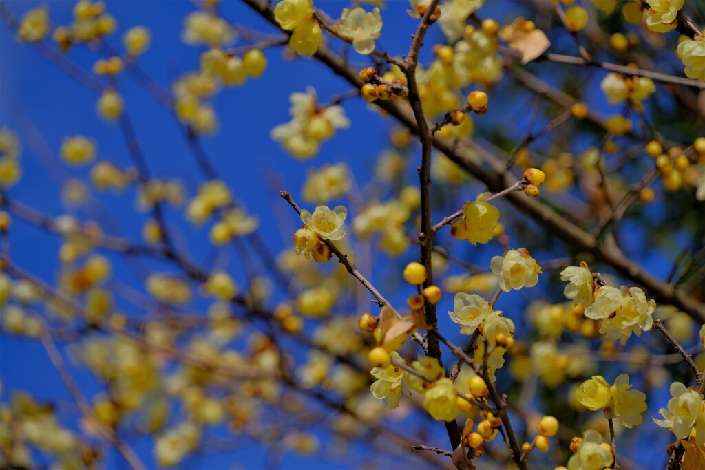 散歩の途中で。③