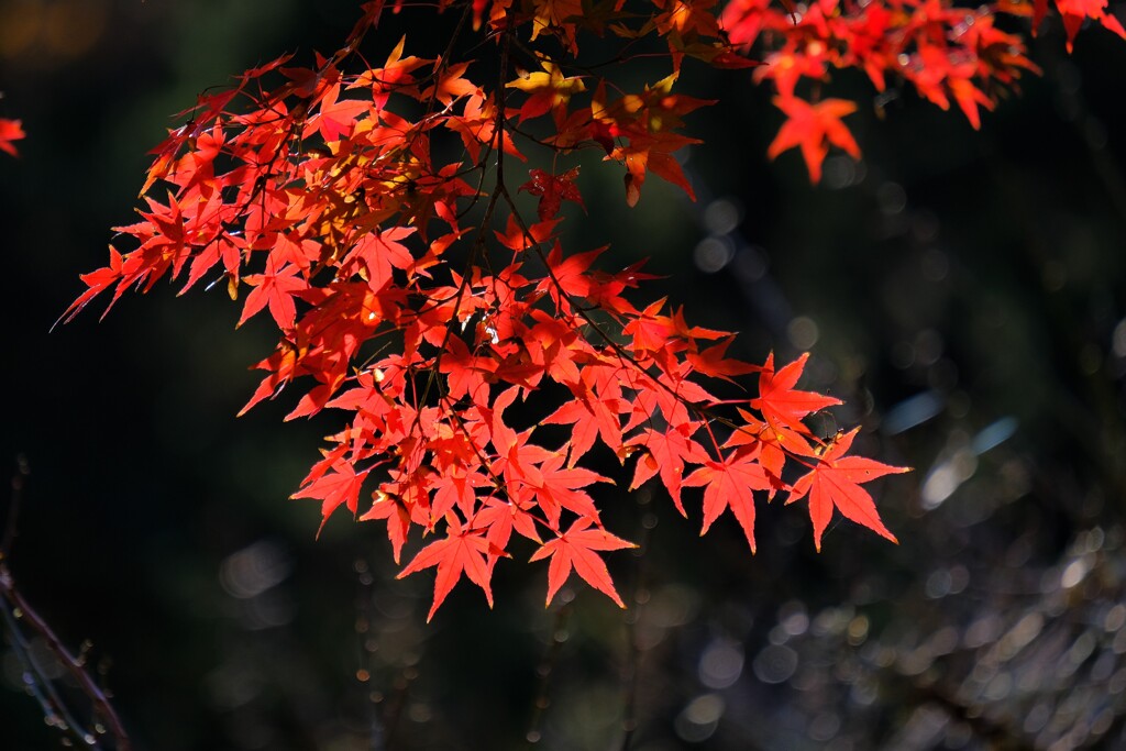 散歩の途中で、5