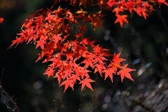 散歩の途中で、5