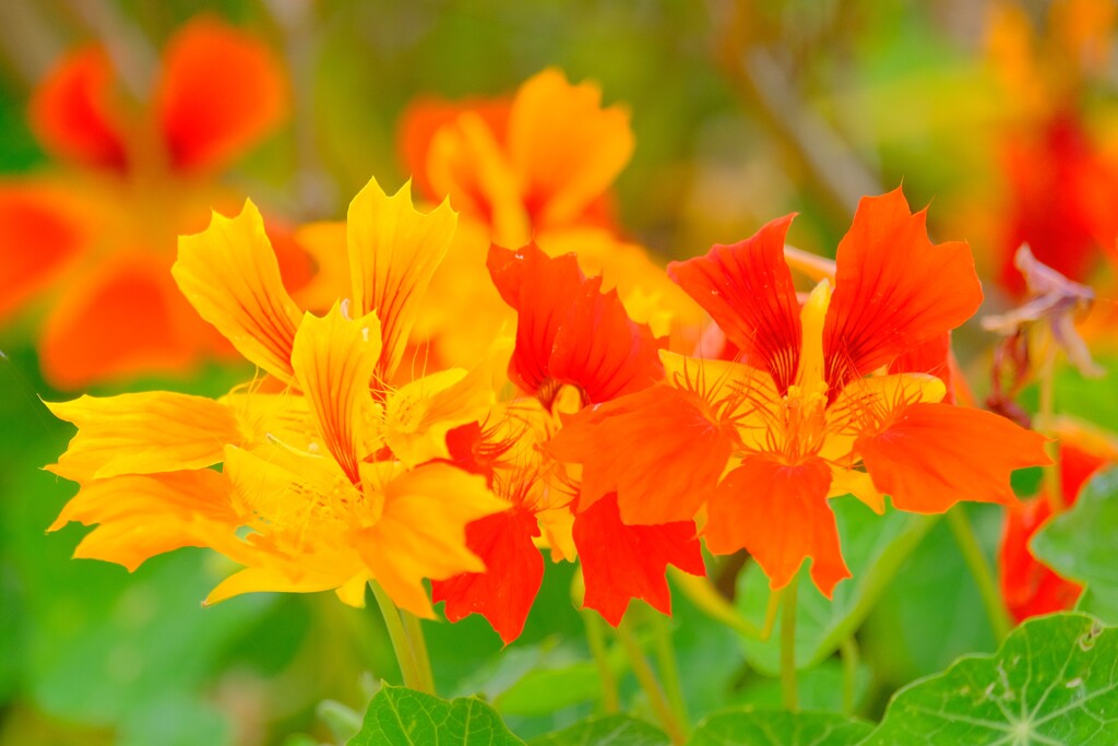 散歩の途中で。