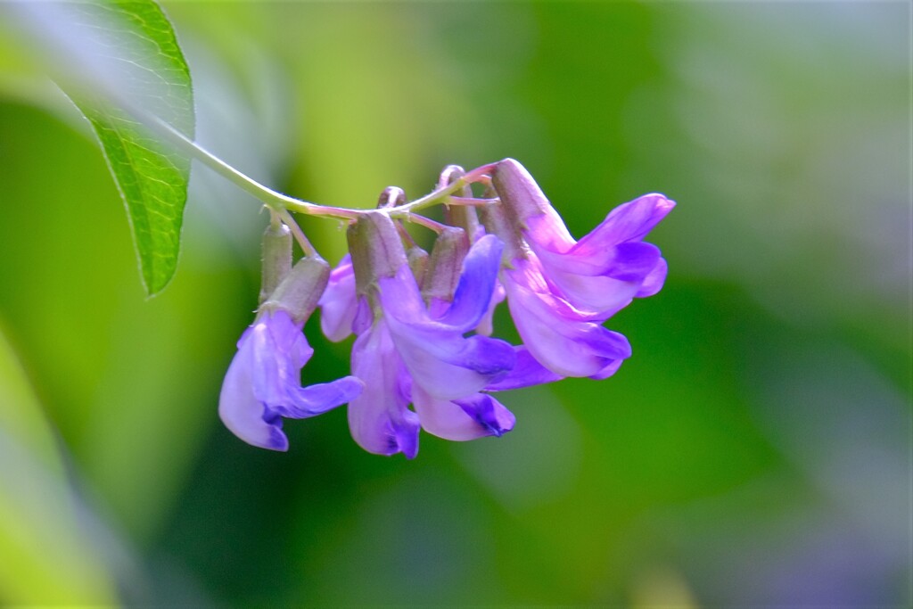 散歩の途中で。４