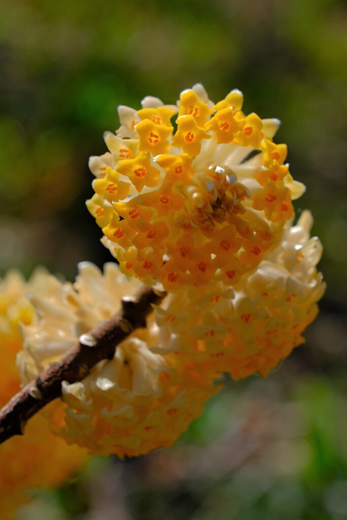 散歩の途中で。Ⅵ