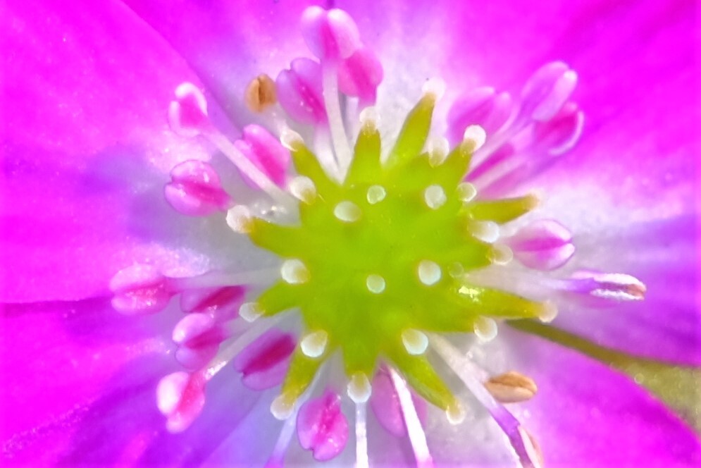 散歩の途中で。③