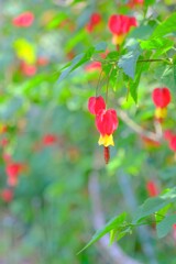 散歩の途中で。9