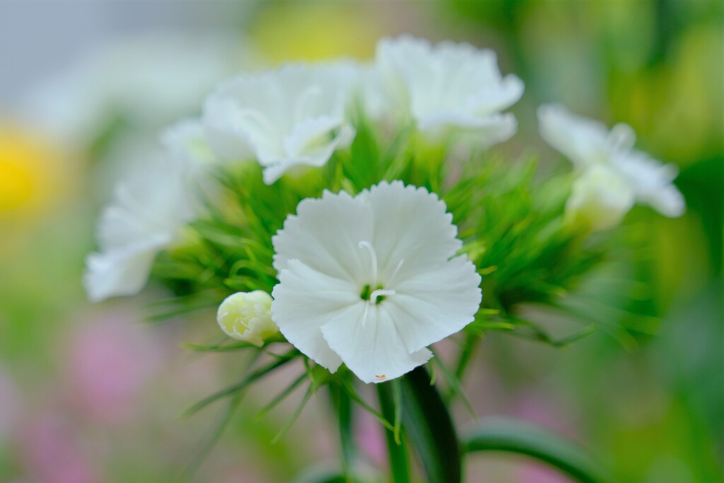 散歩の途中で。Ⅹ