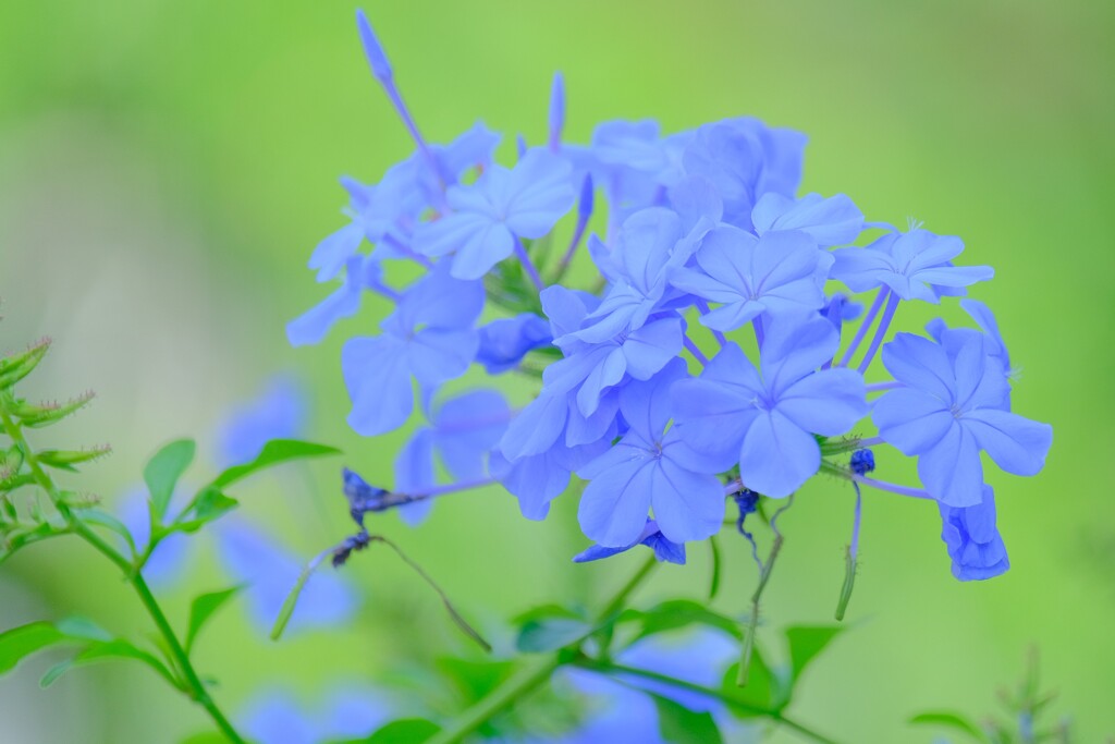 散歩の途中で。