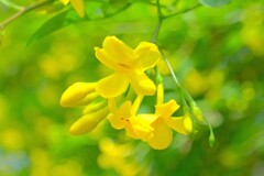 散歩の途中で。③