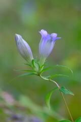 散歩の途中で。Ⅲ