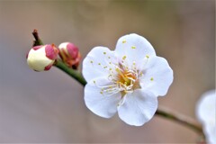 散歩の途中で。①