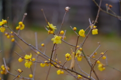 散歩の途中で。１