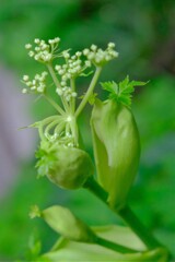散歩の途中で。Ⅴ