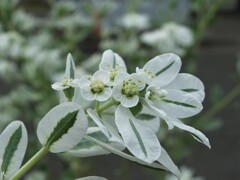 散歩の途中で。②