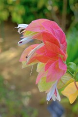 散歩の途中で。Ⅵ