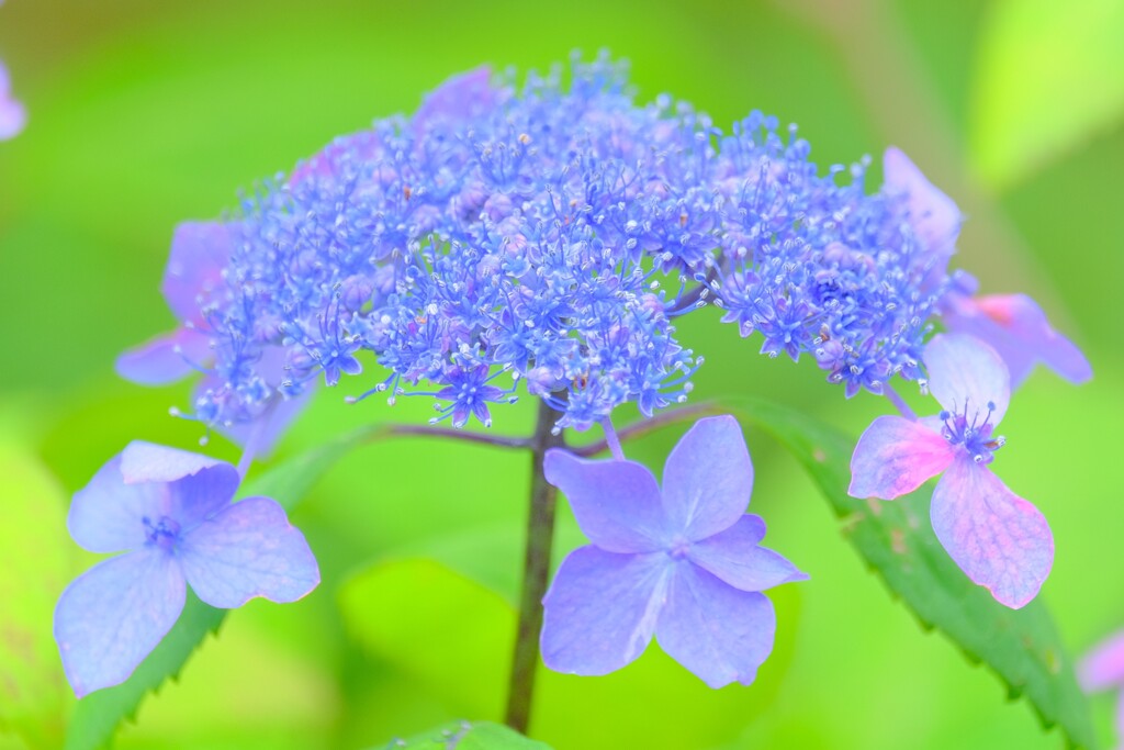 散歩の途中で。