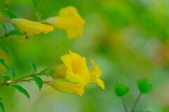 散歩の途中で。