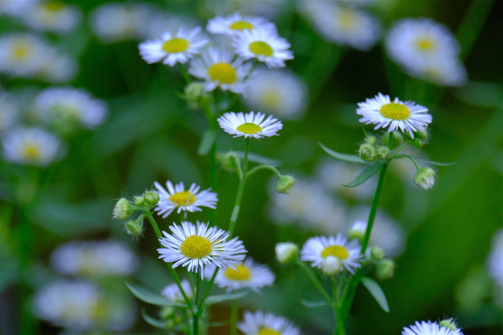 散歩の途中で、9