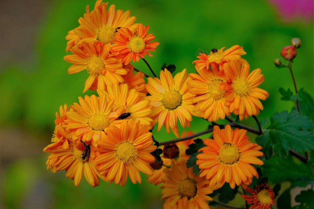 散歩の途中で。③