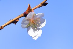 散歩の途中で。②