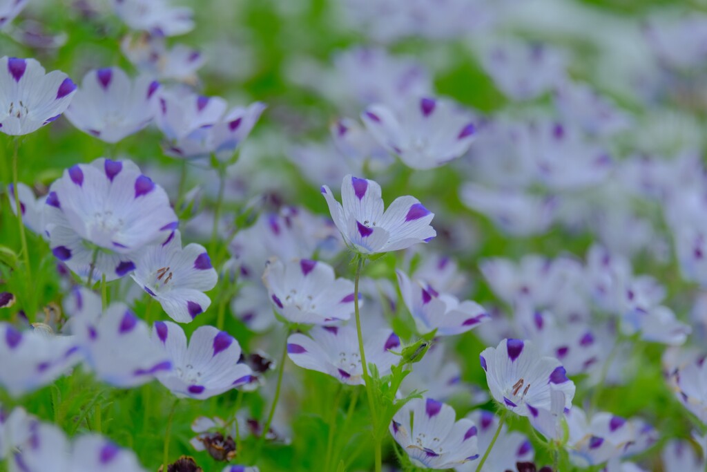 散歩の途中で。