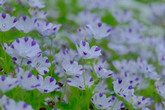 散歩の途中で。