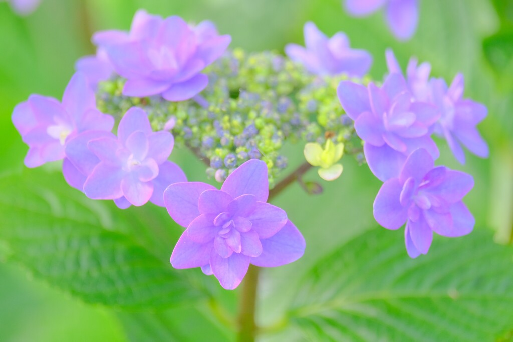 散歩の途中で。