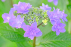 散歩の途中で。