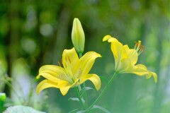 散歩の途中で。Ⅷ