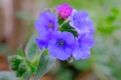 散歩の途中で。Ⅲ