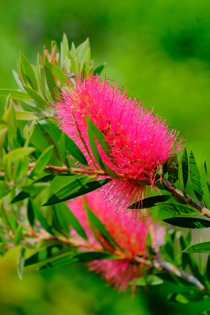 散歩の途中で。Ⅶ