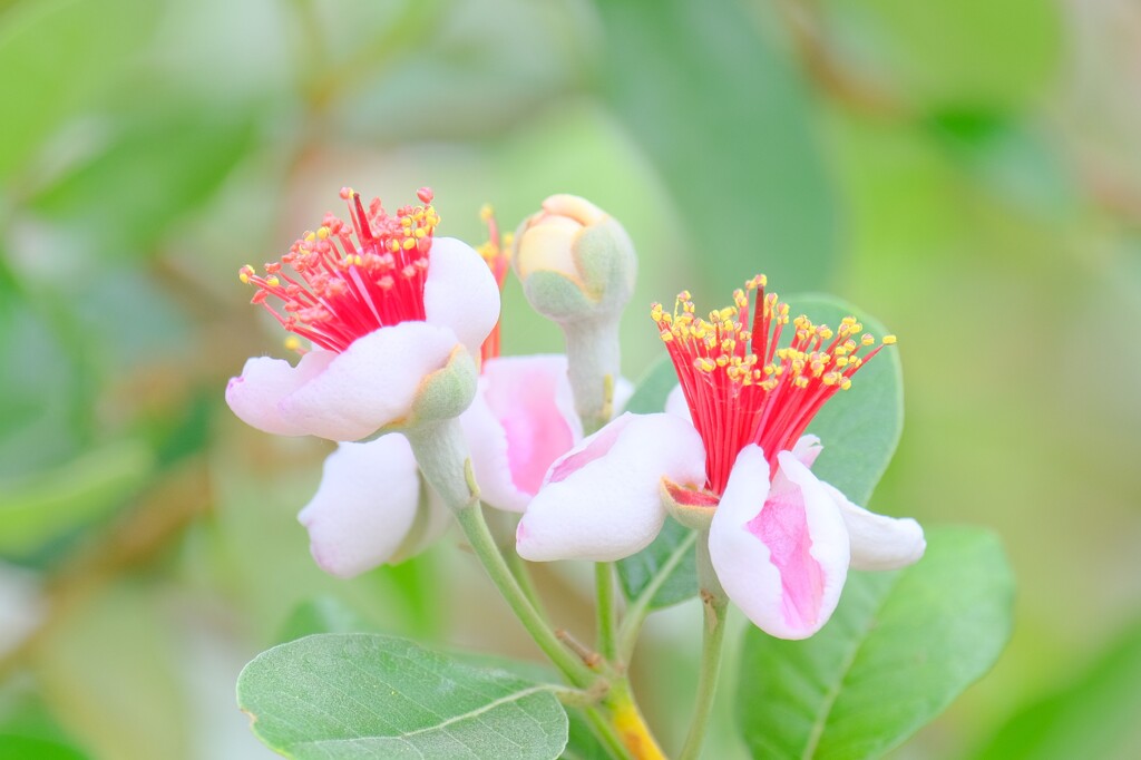 散歩の途中で。