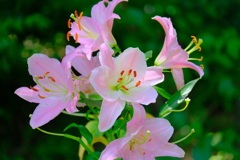 散歩の途中で。