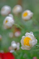 散歩の途中で。⑦