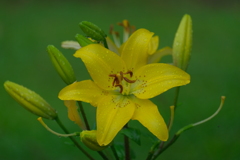 散歩の途中で。