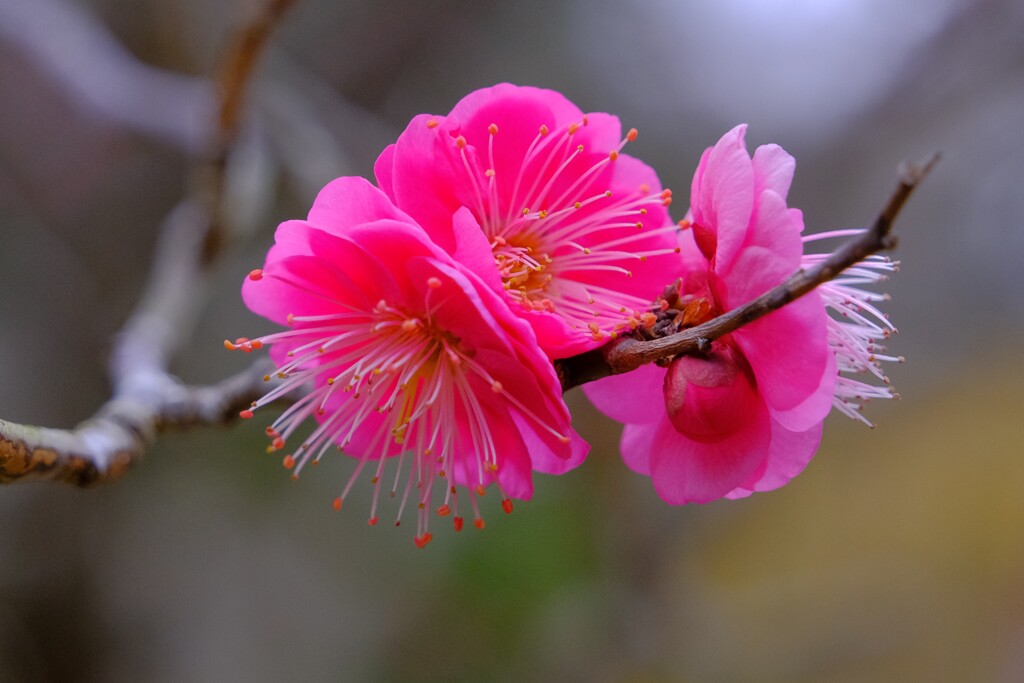 散歩の途中で。Ⅹ