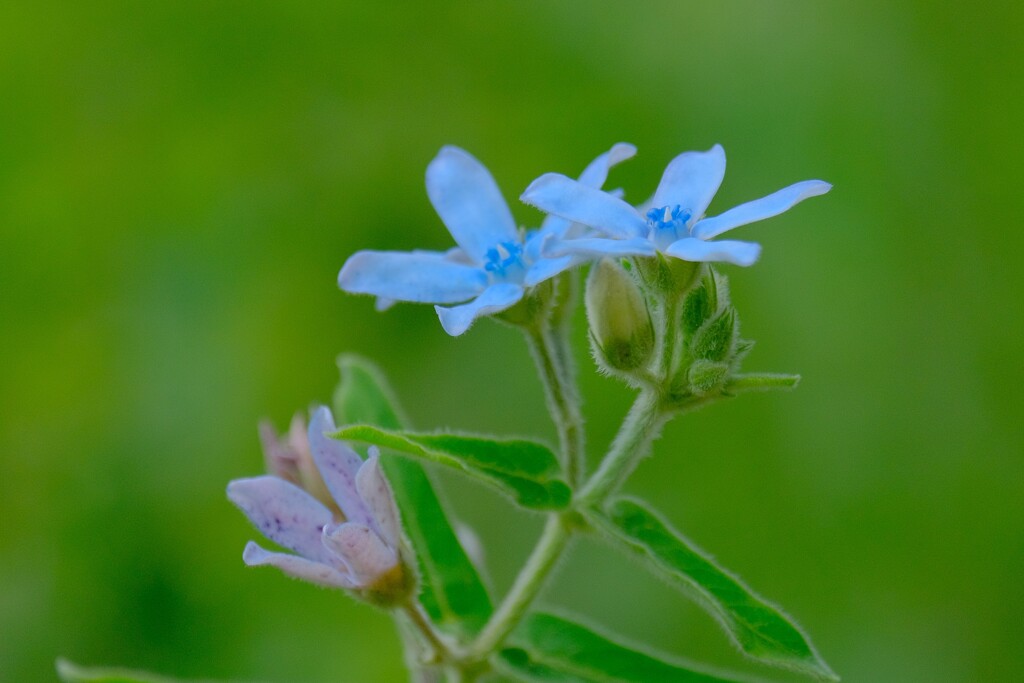 散歩の途中で。